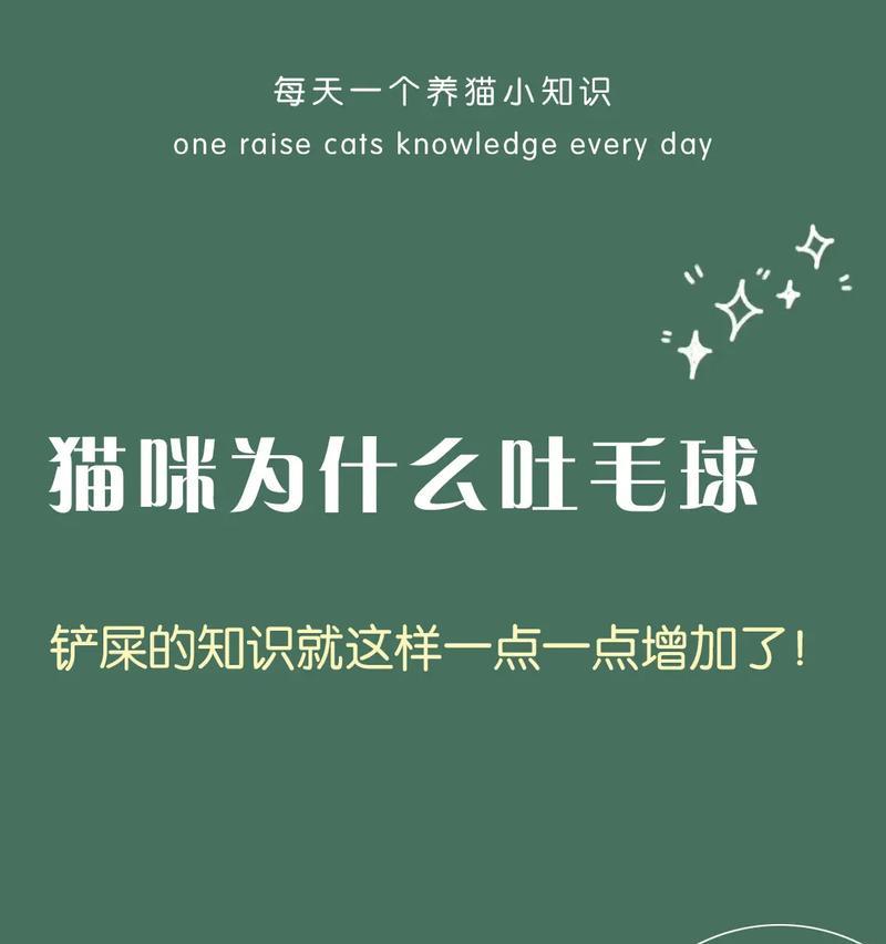 猫咪为何不停地叫？（揭秘猫咪叫声背后的奥秘）(图1)