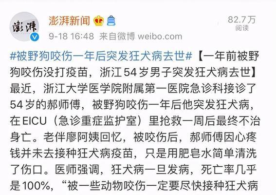 狗狗打完狂犬疫苗多久可以洗澡?(疫苗接种时间与洗澡注意事项)(图3) 狗狗打完狂犬疫苗多久可以洗澡?(疫苗接种时间与洗澡注意事项)(图3)