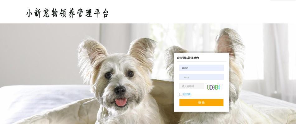 散养宠物的乐趣和挑战(以自由和关爱共享生活的魅力)(图2) 散养宠物的乐趣和挑战(以自由和关爱共享生活的魅力)(图2)