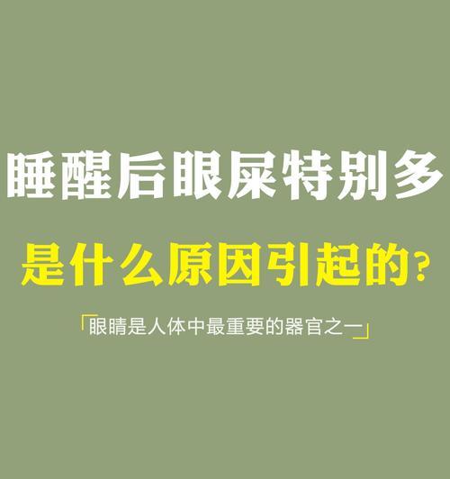 揭秘狗狗眼屎多的真正原因（从营养、健康、环境三方面解析狗狗眼屎多的成因）(图2)