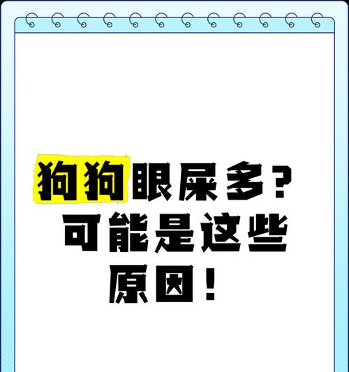 揭秘狗狗眼屎多的真正原因（从营养、健康、环境三方面解析狗狗眼屎多的成因）(图3)