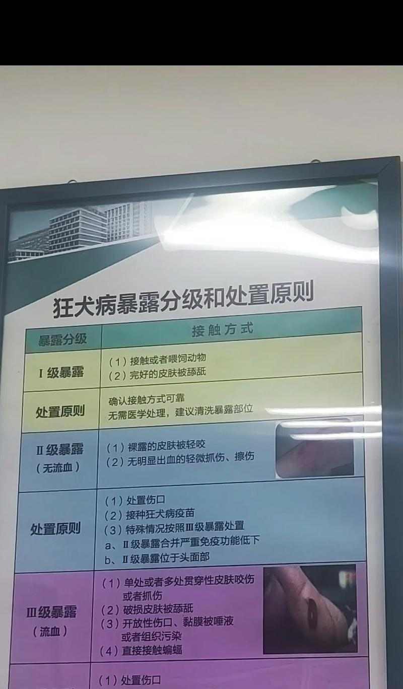 狗狗打完狂犬疫苗多久可以洗澡？（疫苗接种时间与洗澡注意事项）(图1)