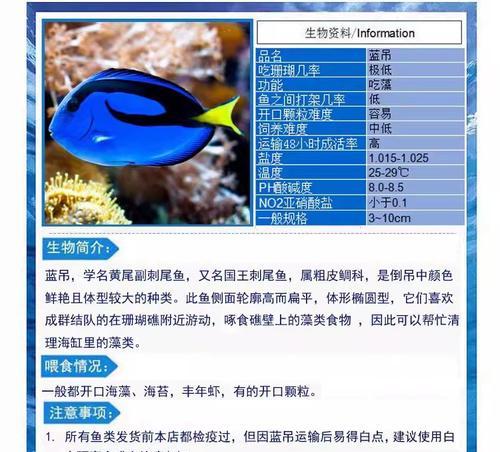 珍珠帆吊的养护之道(宠物珍珠帆吊的饲养与细节)(图3) 珍珠帆吊的养护之道(宠物珍珠帆吊的饲养与细节)(图3)