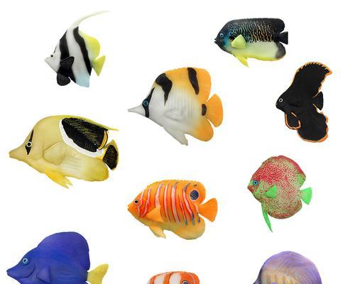 珍珠帆吊的养护之道（宠物珍珠帆吊的饲养与细节） - 新生家伴