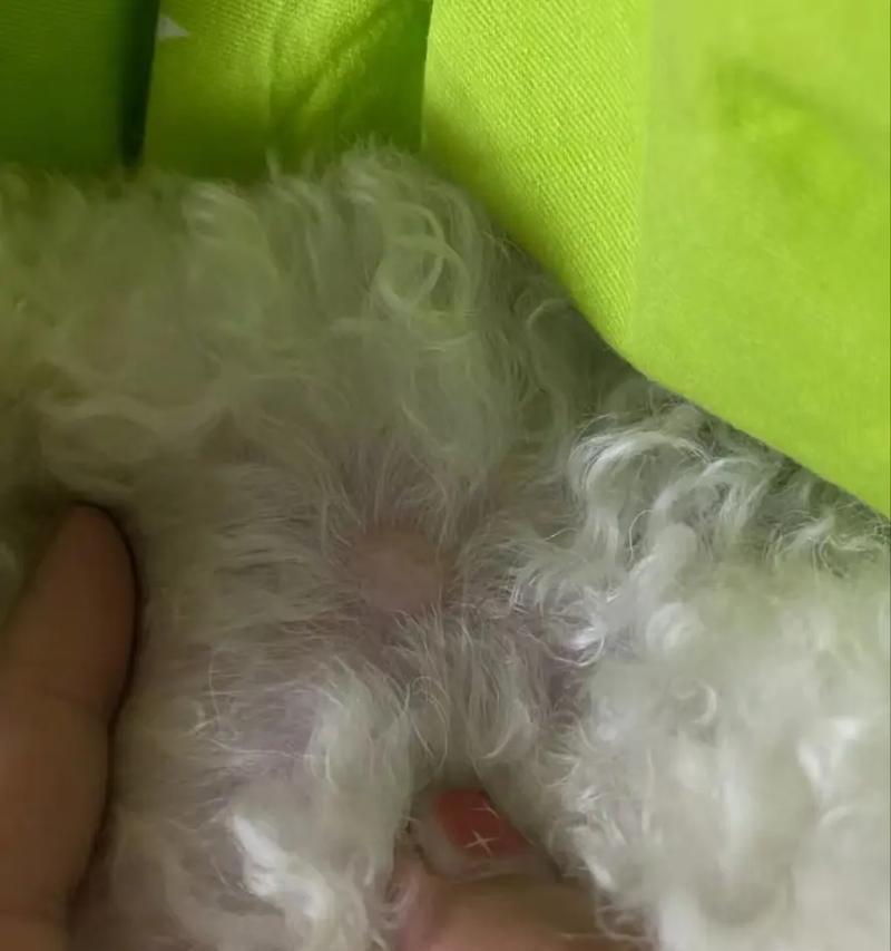 狂犬病发病的狗的症状及预防措施(了解狂犬病,保护你的宠物)(图3) 狂犬病发病的狗的症状及预防措施(了解狂犬病,保护你的宠物)(图3)