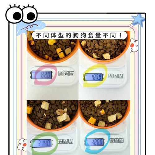 狗狗食量的关键因素及如何合理调控（食物种类和狗狗生长阶段是影响食量的主要因素）(图2)