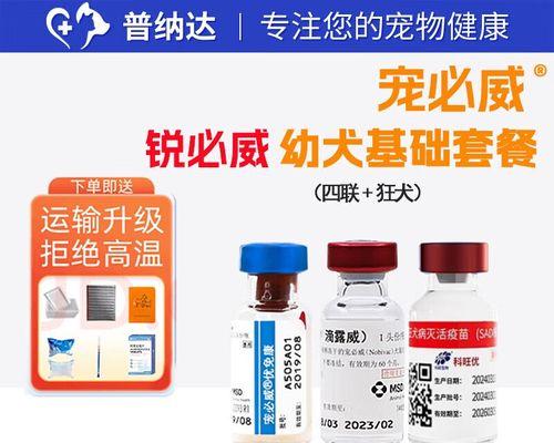 狗狗打疫苗需要注意的事项（疫苗接种时间表