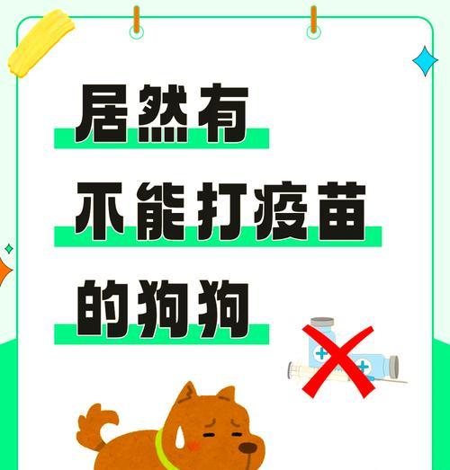 狗狗打疫苗需要注意的事项(疫苗接种时间表和保护幼犬健康的关键)(图3) 狗狗打疫苗需要注意的事项(疫苗接种时间表和保护幼犬健康的关键)(图3)