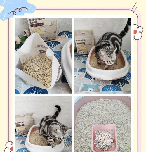 猫砂使用寿命揭秘（探讨猫砂的耐用性与使用频率，帮助猫主人更好地管理猫砂消耗）(图3)