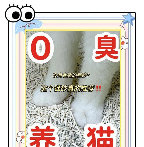猫砂使用寿命揭秘（探讨猫砂的耐用性与使用