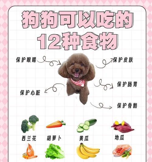 泰迪宝宝不能吃的食物及注意事项（保护你的泰迪宝宝健康的饮食守则）(图1)