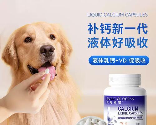 狗狗缺钙的症状及补钙需求(预防早治疗,关注狗狗健康)(图3) 狗狗缺钙的症状及补钙需求(预防早治疗,关注狗狗健康)(图3)