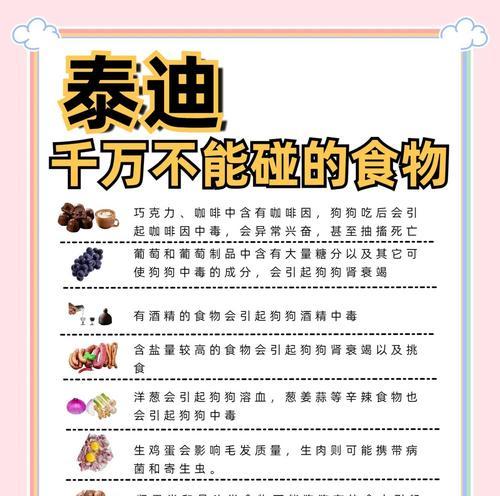 泰迪宝宝不能吃的食物及注意事项（保护你的泰迪宝宝健康的饮食守则）(图3)