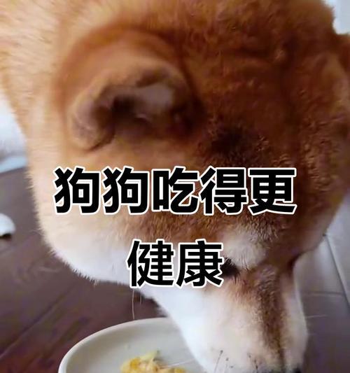 狗吃骨头要煮多久才能熟?(探讨狗吃骨头的最佳煮熟时间及食用建议)(图3) 狗吃骨头要煮多久才能熟?(探讨狗吃骨头的最佳煮熟时间及食用建议)(图3)