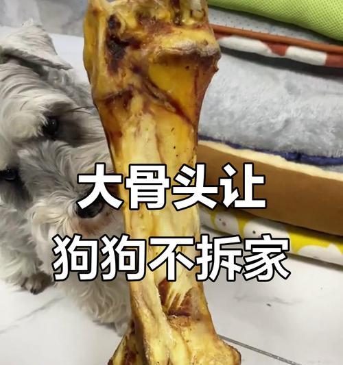 狗吃骨头要煮多久才能熟?(探讨狗吃骨头的最佳煮熟时间及食用建议)(图2) 狗吃骨头要煮多久才能熟?(探讨狗吃骨头的最佳煮熟时间及食用建议)(图2)