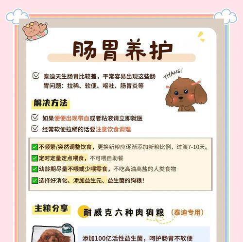 科学饲养泰迪幼犬，让它健康成长！（教你5个科学的方法，让泰迪宝宝快乐成长）(图2)