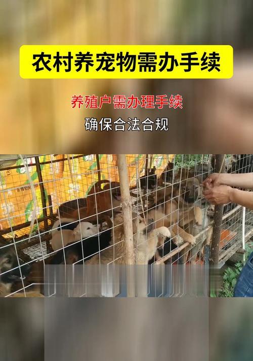 小区养狗,手续缺一不可(小区养狗需要的手续及办理流程,了解一下吧!)(图2) 小区养狗,手续缺一不可(小区养狗需要的手续及办理流程,了解一下吧!)(图2)