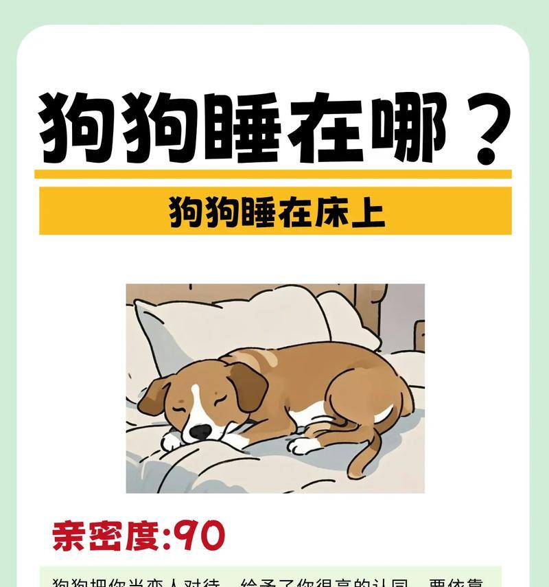 小狗的睡眠需求及其对健康的重要性（探索小狗睡眠模式与健康之间的关系）(图3)