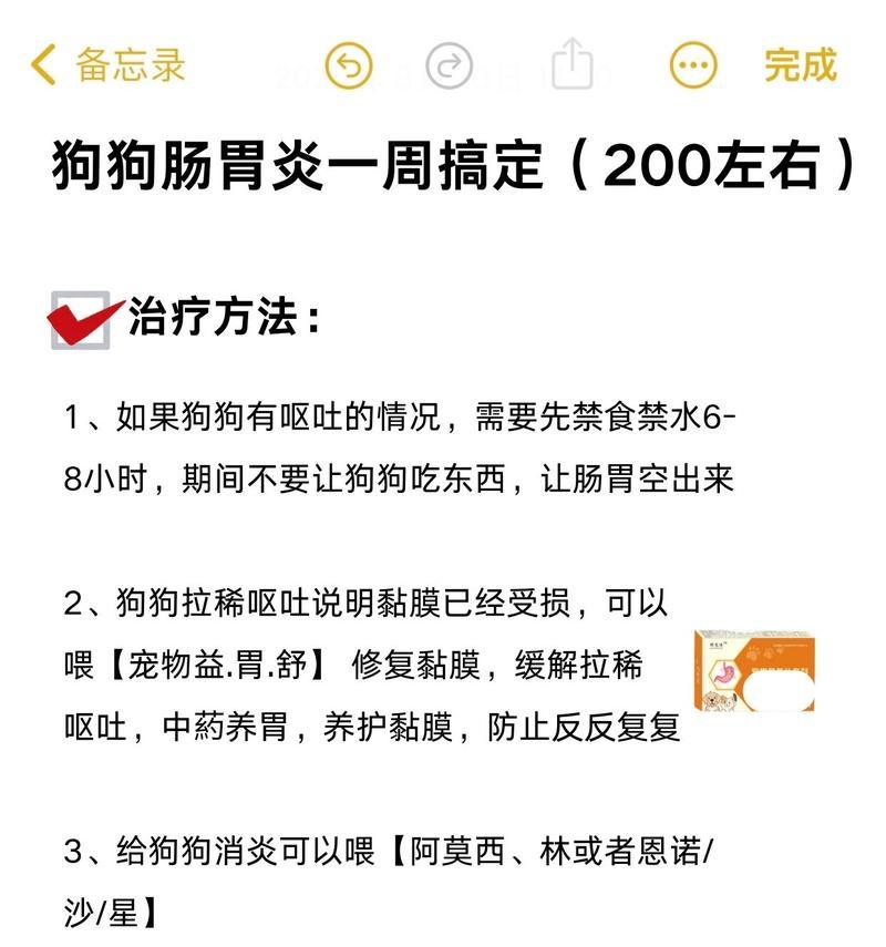 宠物狗狗肠炎的常见症状及治疗方法（了解狗狗肠炎，呵护宠物健康 - 新生家伴