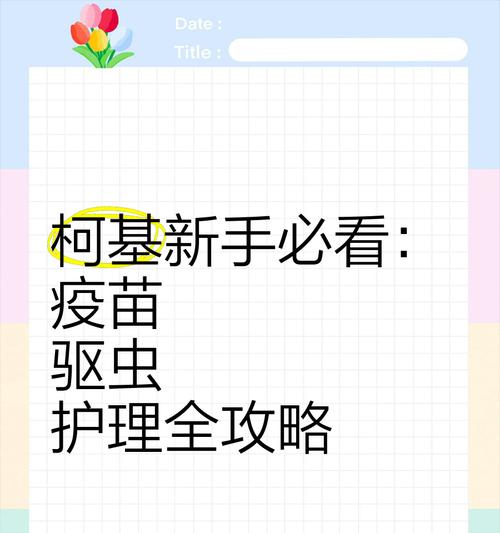 小狗驱虫与疫苗（了解小狗驱虫和疫苗的时间表，让您的宠物远离病菌和寄生虫）(图3)