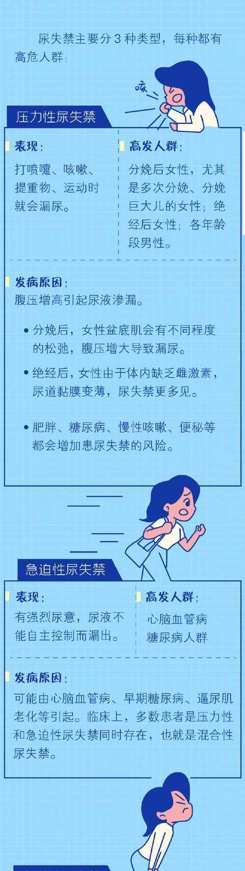 不同年龄阶段的秋田犬饲养指南（全面解析秋田犬在不同年龄阶段的饲养要点与技巧）(图3)