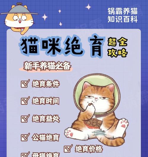 猫绝育后的注意事项（细心呵护，让猫咪更健康） - 新生家伴