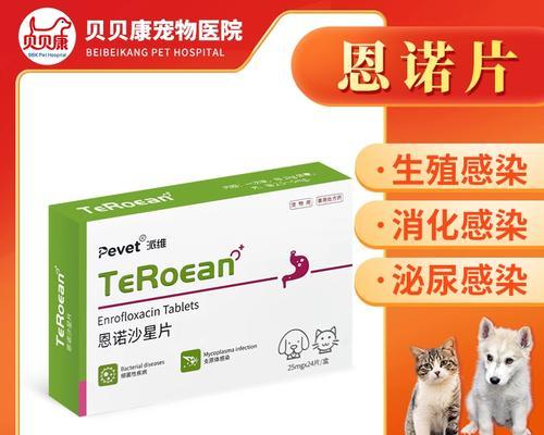 狗狗子宫蓄脓的治疗方法（以何种药物为主治疗狗狗子宫蓄脓？）(图1)