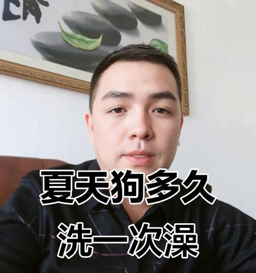 3个月大的狗狗应该多久洗一次澡？（洗澡频率对3个月大的狗狗的健康有何影响？）(图1)