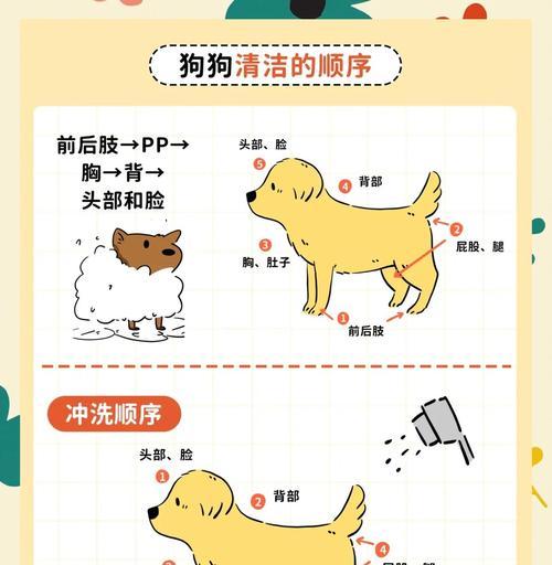 3个月大的狗狗应该多久洗一次澡？（洗澡频率对3个月大的狗狗的健康有何影响？）(图3)