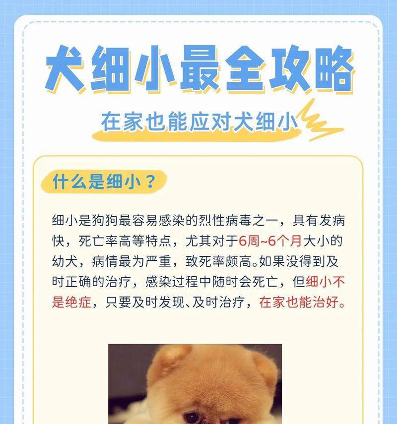 狗得了细小后多久能再养狗?(细小病毒是否会对新养的狗造成影响?)(图1) 狗得了细小后多久能再养狗?(细小病毒是否会对新养的狗造成影响?)(图1)