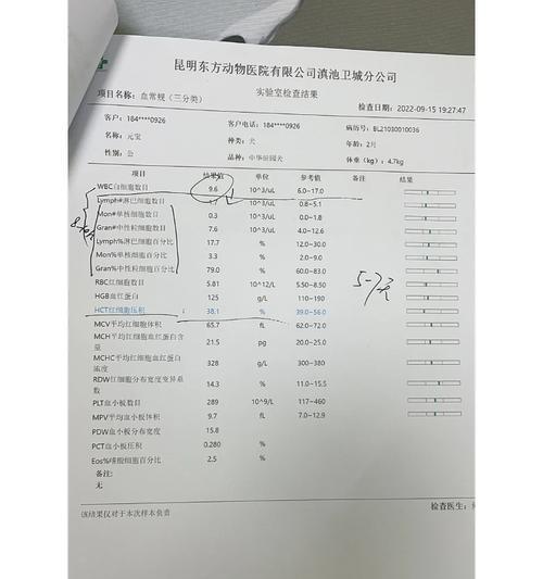 狗得了细小后多久能再养狗?(细小病毒是否会对新养的狗造成影响?)(图2) 狗得了细小后多久能再养狗?(细小病毒是否会对新养的狗造成影响?)(图2)