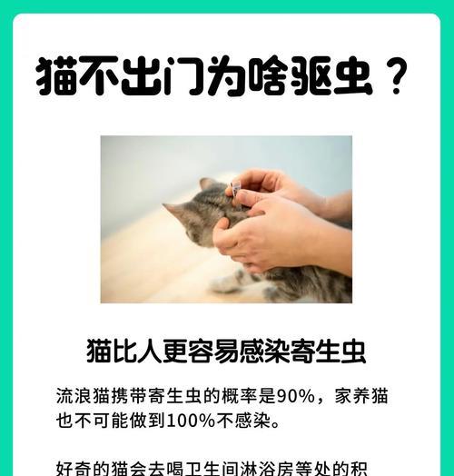 猫咪驱虫药的使用频率(保护宠物健康的关键措施)(图1) 猫咪驱虫药的使用频率(保护宠物健康的关键措施)(图1)