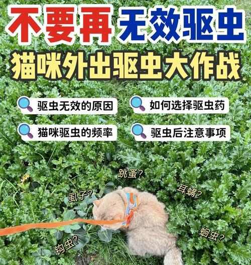 猫咪驱虫药的使用频率(保护宠物健康的关键措施)(图3) 猫咪驱虫药的使用频率(保护宠物健康的关键措施)(图3)