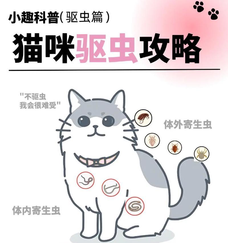 猫咪驱虫药的使用频率(保护宠物健康的关键措施)(图2) 猫咪驱虫药的使用频率(保护宠物健康的关键措施)(图2)