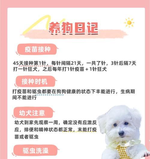 狗狗接种疫苗后多久可以洗澡?(养狗新手必知,打完针后的洗澡时间安排!)(图2) 狗狗接种疫苗后多久可以洗澡?(养狗新手必知,打完针后的洗澡时间安排!)(图2)