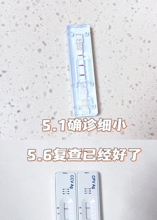 狗狗细小病毒潜伏期的长短揭秘（细小病毒潜伏期与预防关键要点分析）(图2)