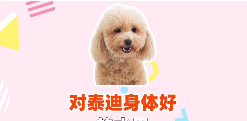 以泰迪的禁食水果大揭秘(了解泰迪狗狗不能吃的水果,让它们健康快乐成长)(图3) 以泰迪的禁食水果大揭秘(了解泰迪狗狗不能吃的水果,让它们健康快乐成长)(图3)