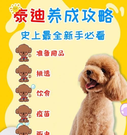 幼犬泰迪打疫苗后何时可以洗澡?(洗澡前请留意这些关键信息)(图2) 幼犬泰迪打疫苗后何时可以洗澡?(洗澡前请留意这些关键信息)(图2)