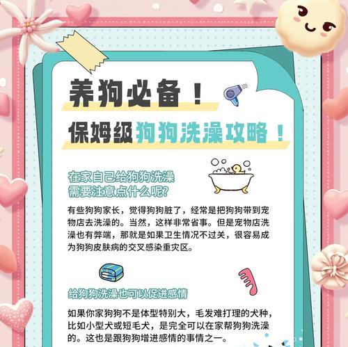 狗狗洗澡的频率与注意事项（探讨2岁狗狗洗澡的最佳频率和正确方法）(图1)
