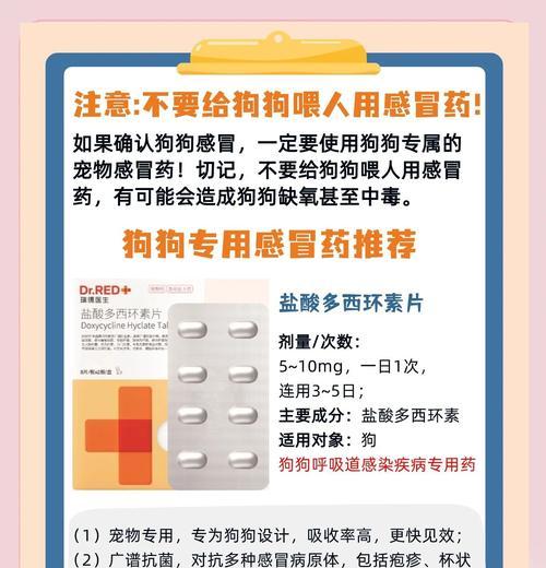 小狗感冒的康复时间及治疗方法(了解小狗感冒的症状与治愈时间,保护你的毛小孩)(图1) 小狗感冒的康复时间及治疗方法(了解小狗感冒的症状与治愈时间,保护你的毛小孩)(图1)