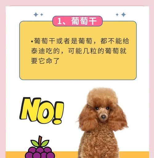 以泰迪的禁食水果大揭秘(了解泰迪狗狗不能吃的水果,让它们健康快乐成长)(图2) 以泰迪的禁食水果大揭秘(了解泰迪狗狗不能吃的水果,让它们健康快乐成长)(图2)