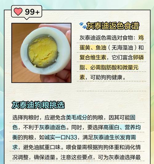 以泰迪的禁食水果大揭秘(了解泰迪狗狗不能吃的水果,让它们健康快乐成长)(图1) 以泰迪的禁食水果大揭秘(了解泰迪狗狗不能吃的水果,让它们健康快乐成长)(图1)