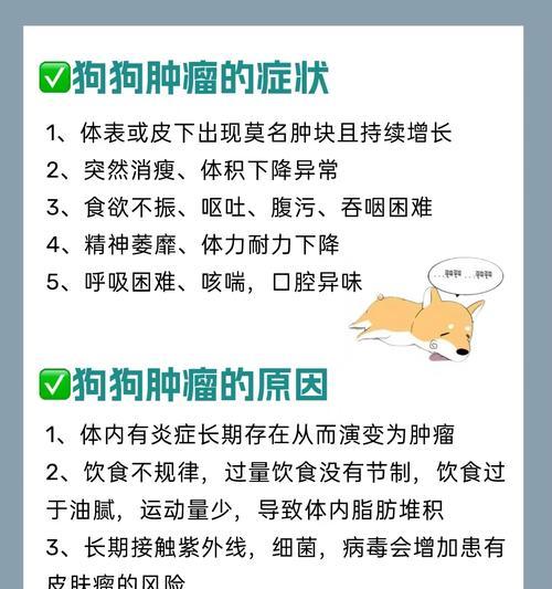 狗子宫癌的症状及早期预防(了解狗子宫癌的常见症状,提早预防保护您的毛孩)(图1) 狗子宫癌的症状及早期预防(了解狗子宫癌的常见症状,提早预防保护您的毛孩)(图1)