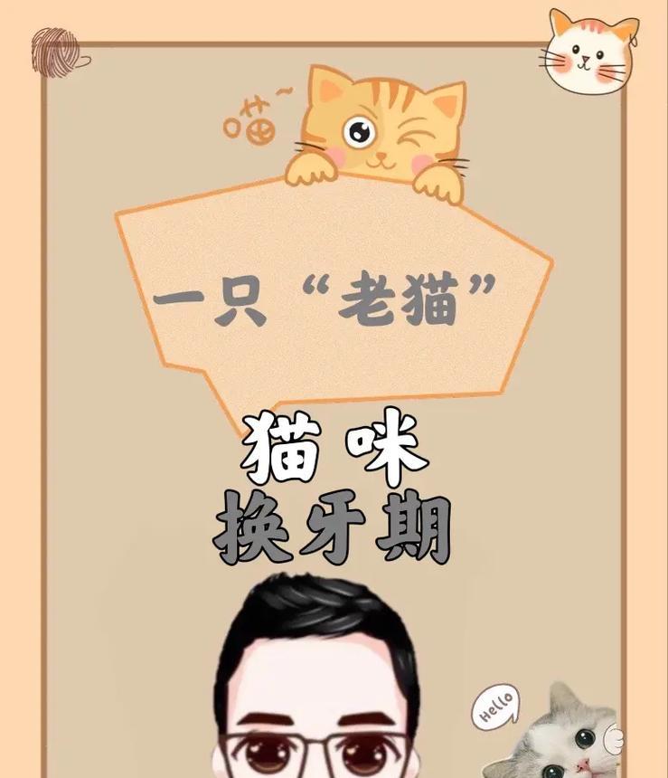 换牙期的法斗照顾指南（宠物法斗换牙阶段的关键注意事项）(图3)