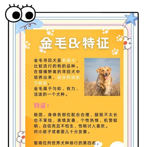 金毛犬洗澡的最佳频率及注意事项（金毛犬洗澡的时间间隔和洗澡前后的护理方法）(图3)
