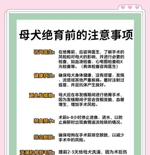 小狗伤口能洗澡吗？（小狗伤口洗澡的时间要掌握好）(图3)