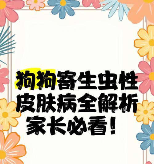 揭秘狗狗皮肤虫——症状、防治与护理（狗狗皮肤虫的种类及常见症状，如何预防和治疗，正确的皮肤护理）(图1)
