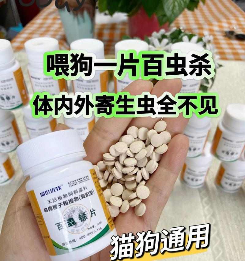 狗驱虫后多久可以出门?(让宠物狗在驱虫后安全出门的最佳时间点)(图1) 狗驱虫后多久可以出门?(让宠物狗在驱虫后安全出门的最佳时间点)(图1)