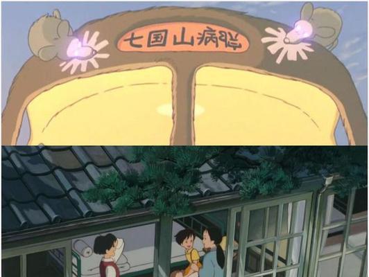 龙猫妈妈洗澡的时间间隔及注意事项(龙猫妈妈洗澡的频率、水温和洗澡方式)(图3) 龙猫妈妈洗澡的时间间隔及注意事项(龙猫妈妈洗澡的频率、水温和洗澡方式)(图3)