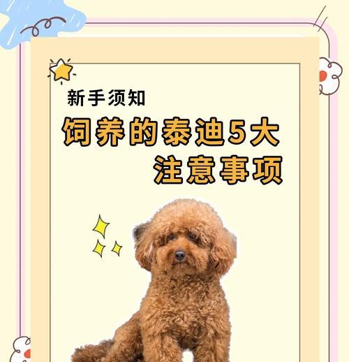 泰迪犬的指甲剪裁（宝贝泰迪剪指甲时间表及注意事项）(图3)
